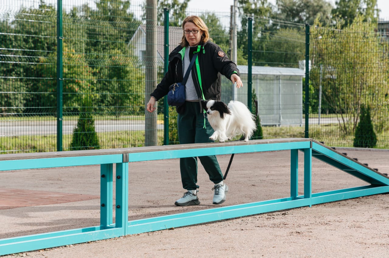 Три новых площадки для выгула собак благоустроят в Петербурге в этом году